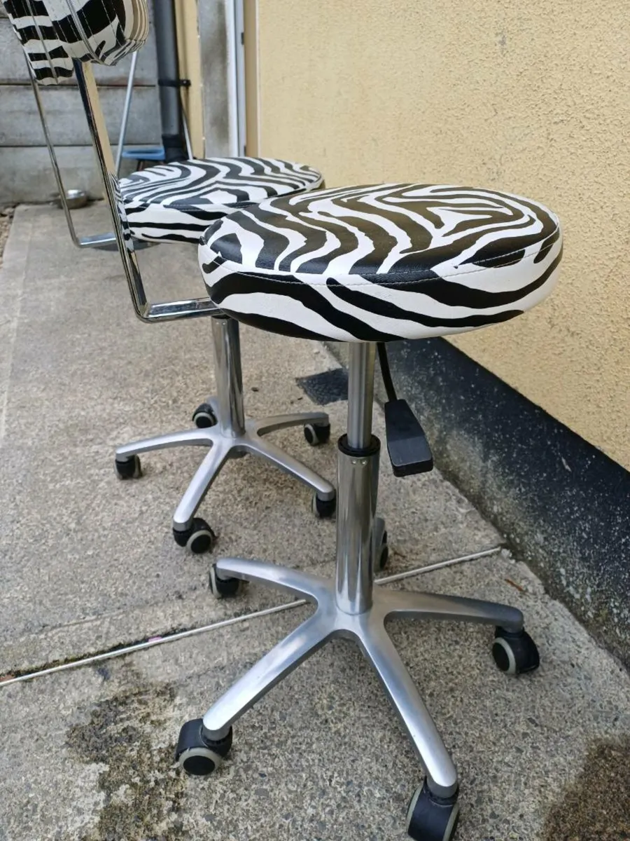 Orlando Professional Adjustable Salon Chairs - Image 3