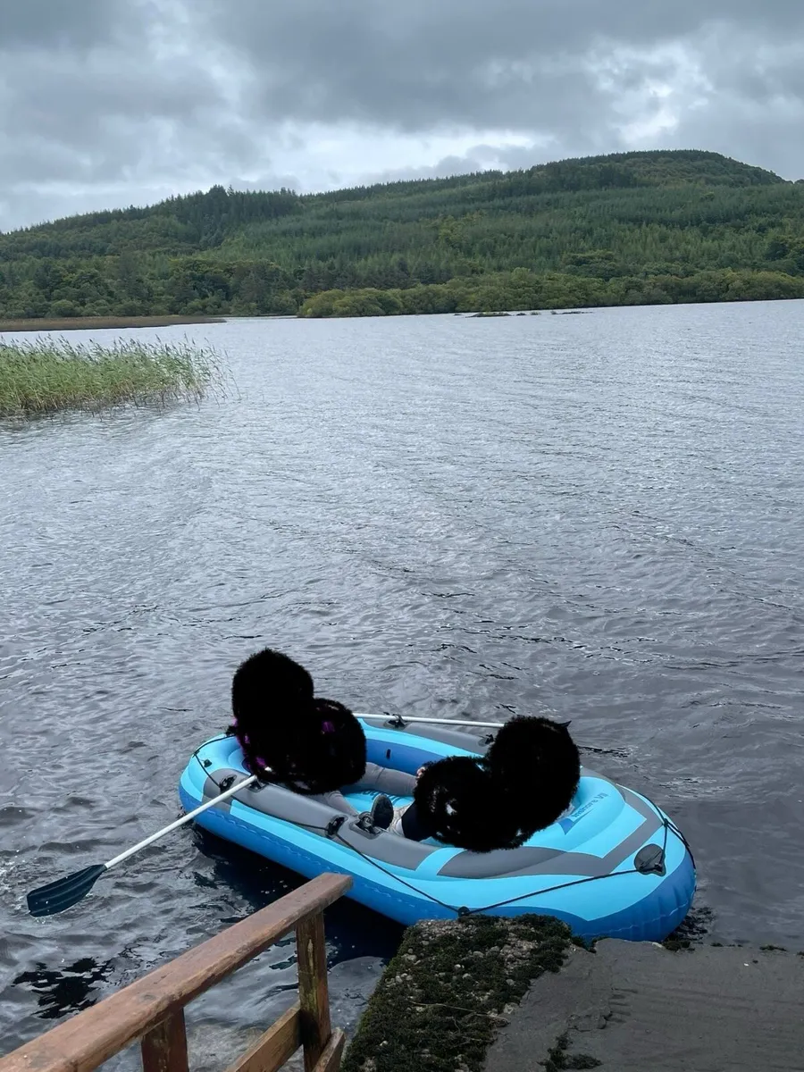Lidl Inflatable Blue Dinghy Boat - Image 4