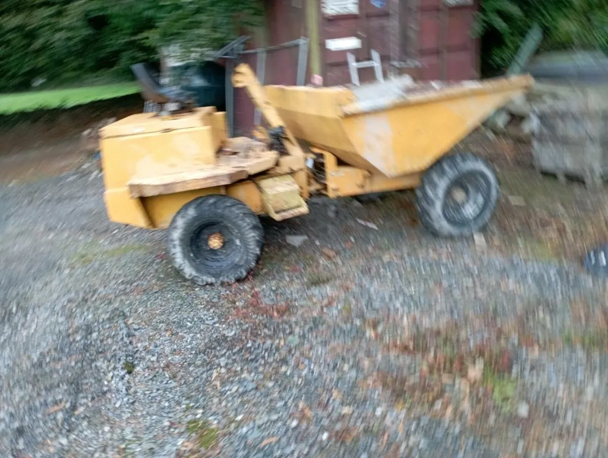 2 ton dumper - Image 1