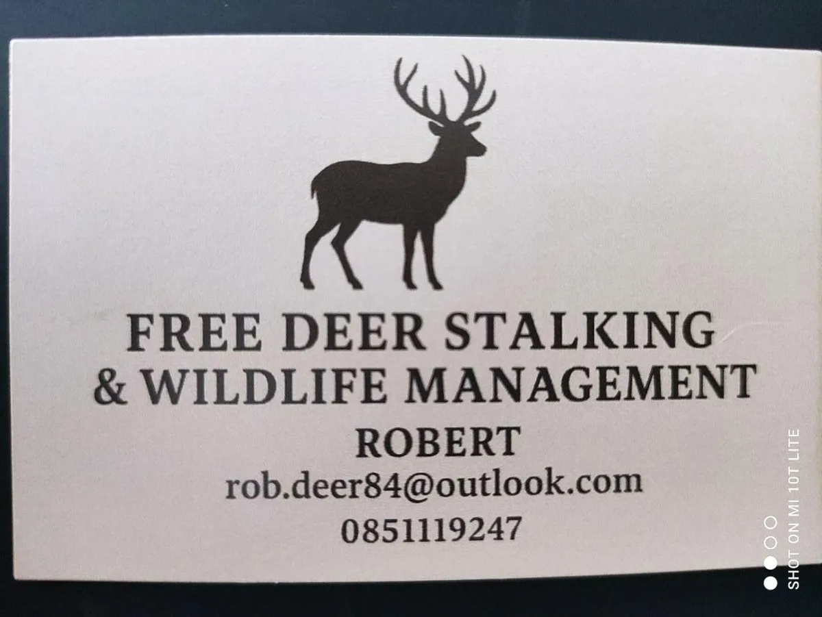 Deer stalking permission - Image 1