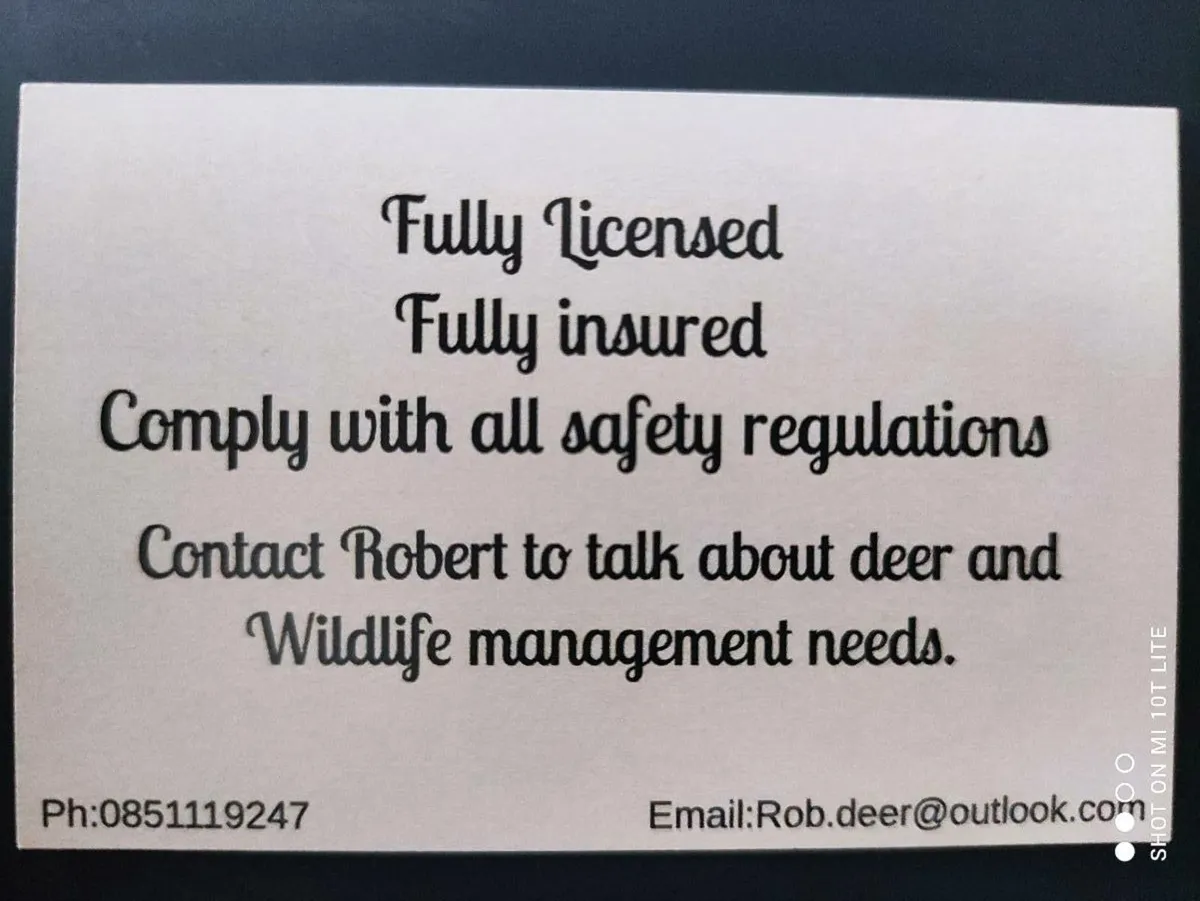 Deer stalking permission - Image 2