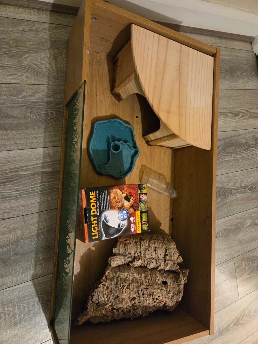 tortoise table - Image 1