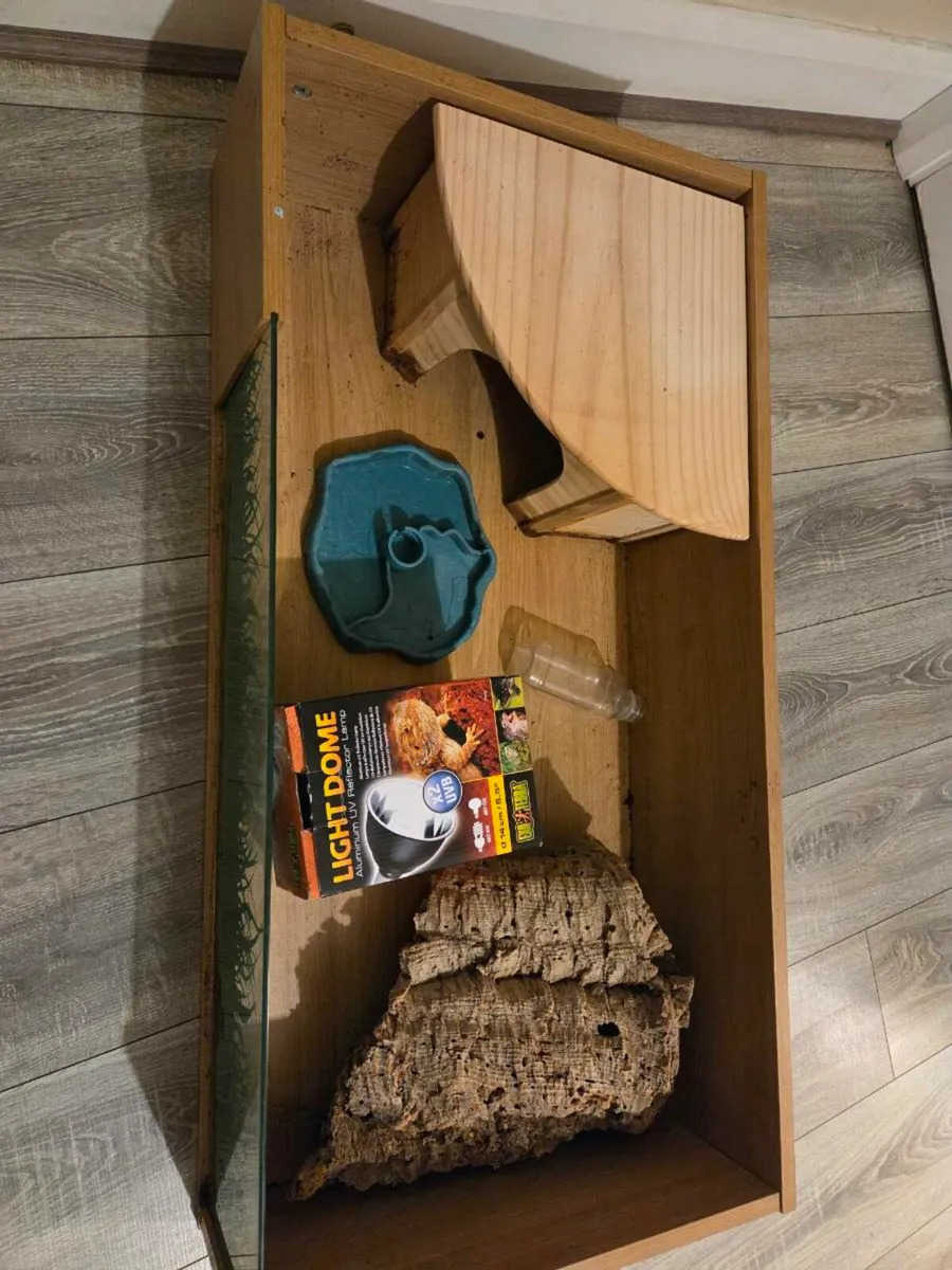 tortoise table - Image 2