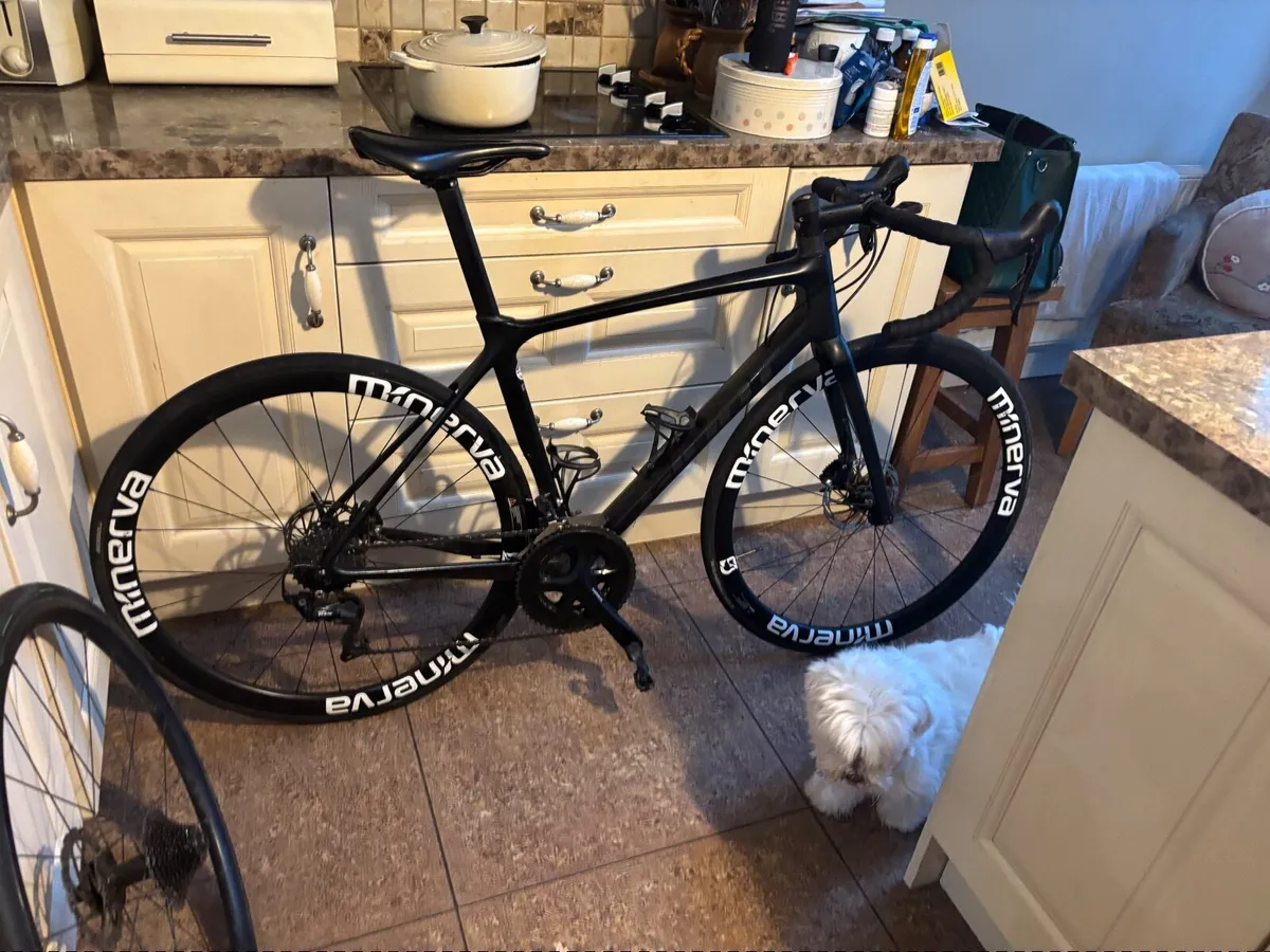 Joint bike - Image 2