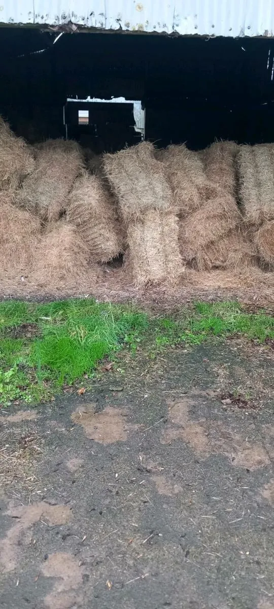 Small hay bales