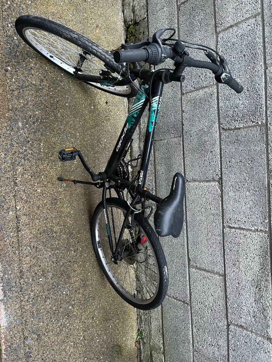Old bikes - Image 1
