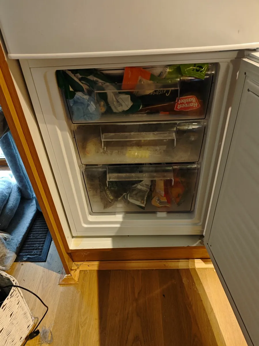 1 yr LOGIK LE55CW23 50/50 Fridge Freezer - Image 3