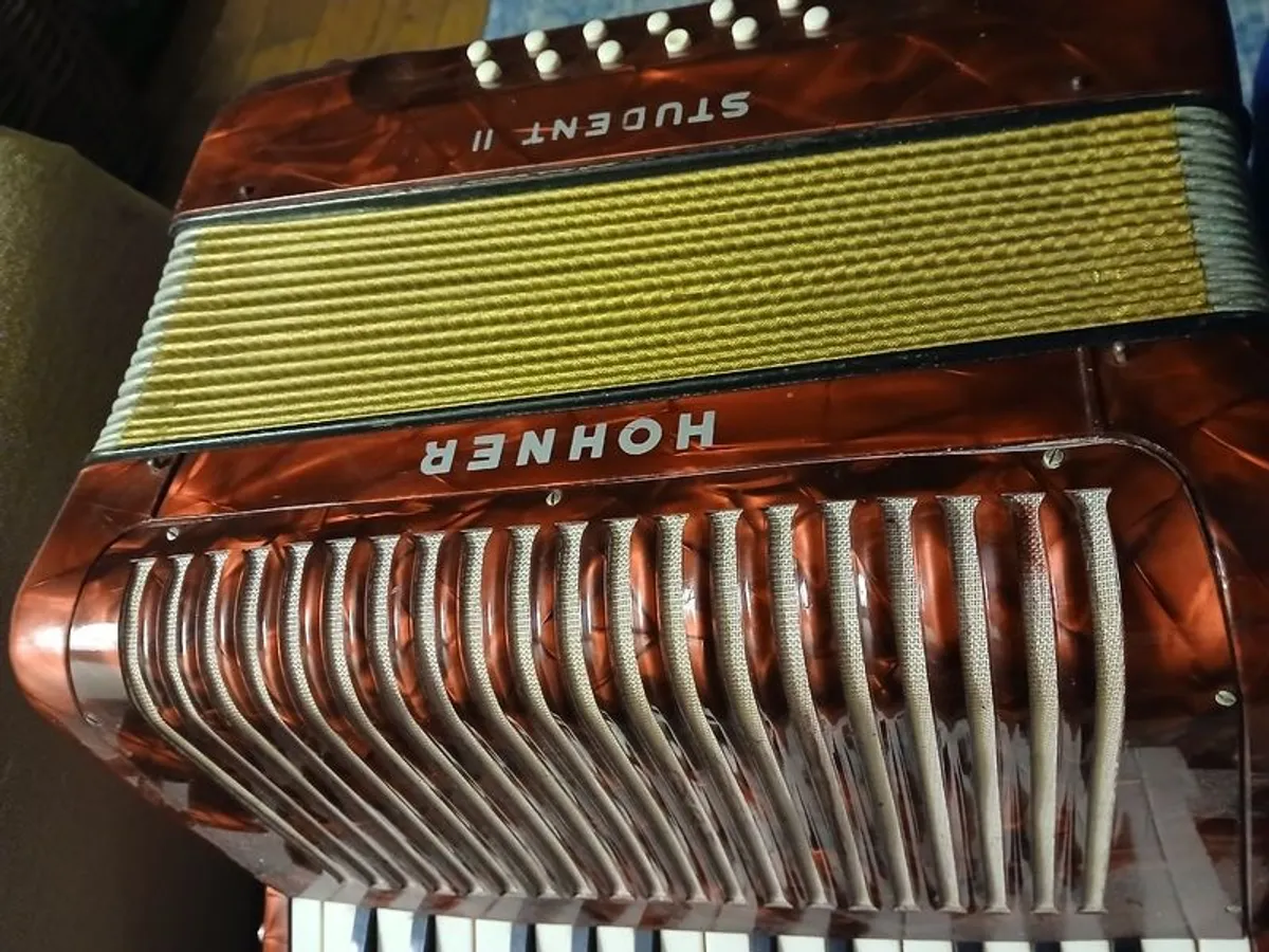 Button Accordian - Image 3