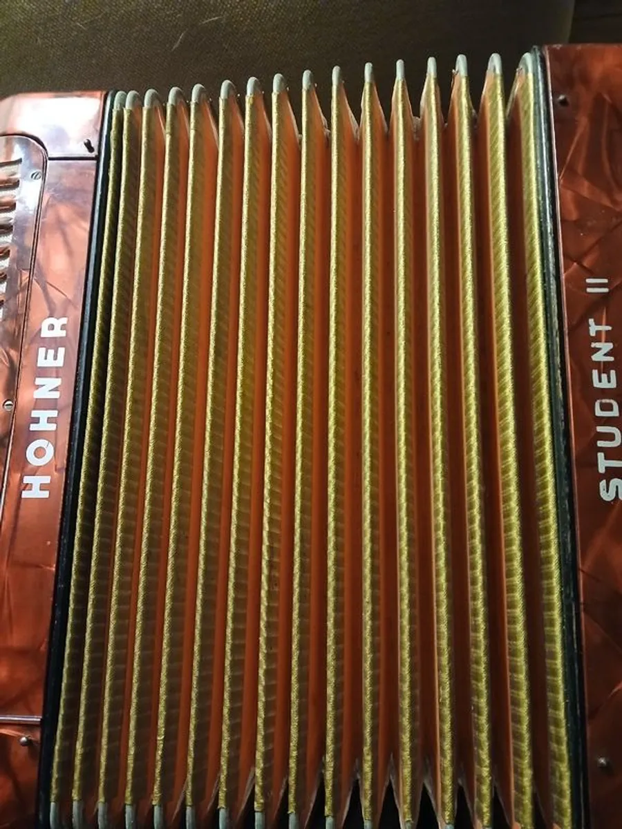Button Accordian - Image 4