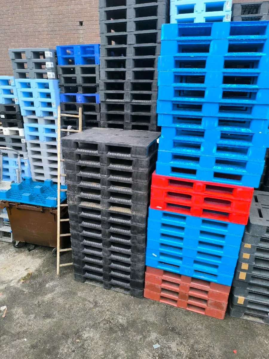 Large amount of plastic pallets - Image 1