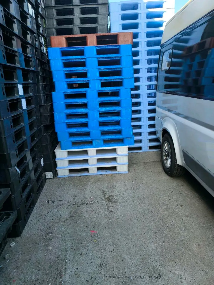 Large amount of plastic pallets - Image 4