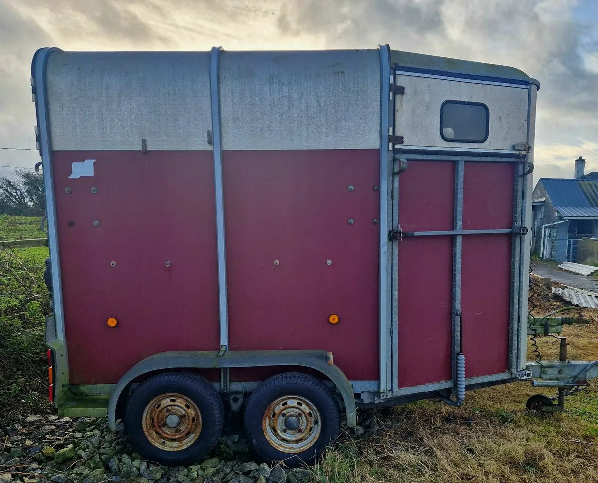 HB401 Ifor Williams Single Horsebox - Image 1