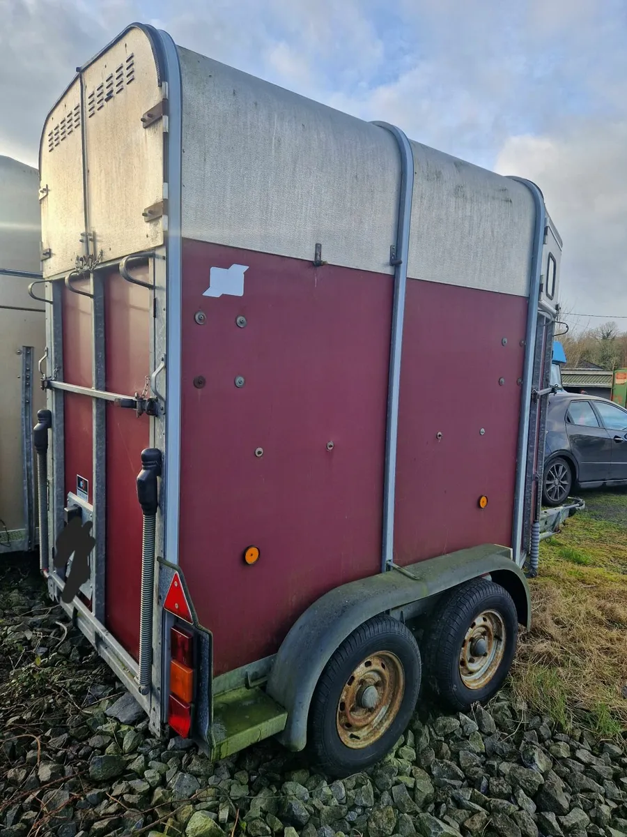 HB401 Ifor Williams Single Horsebox - Image 4