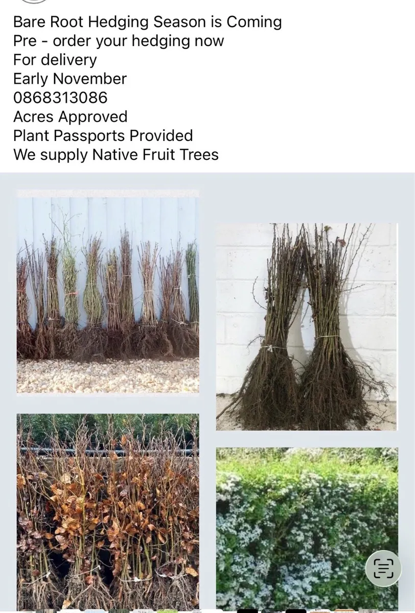 Hedging