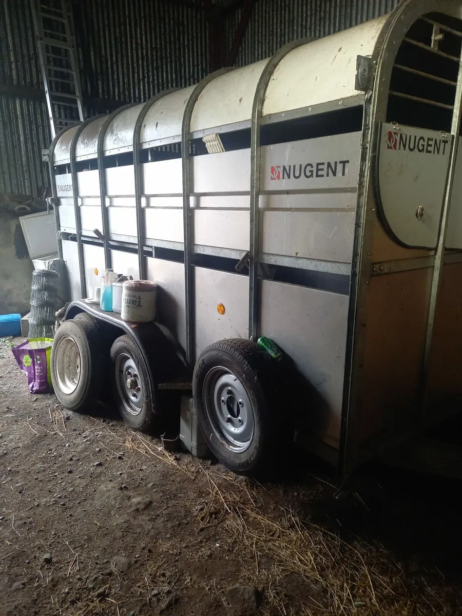 Nugent 12x6 Cattle Trailer (Unused) - Image 1