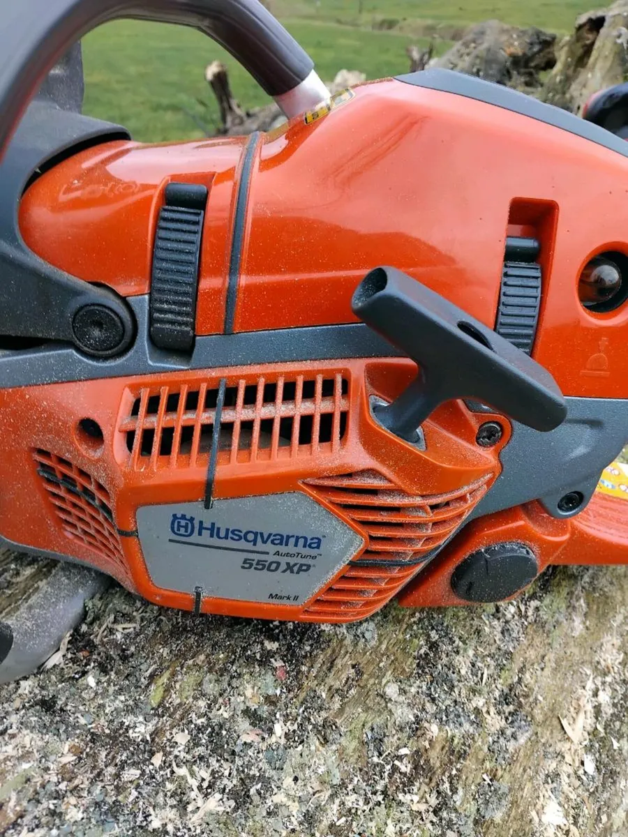 Chainsaw - Image 2