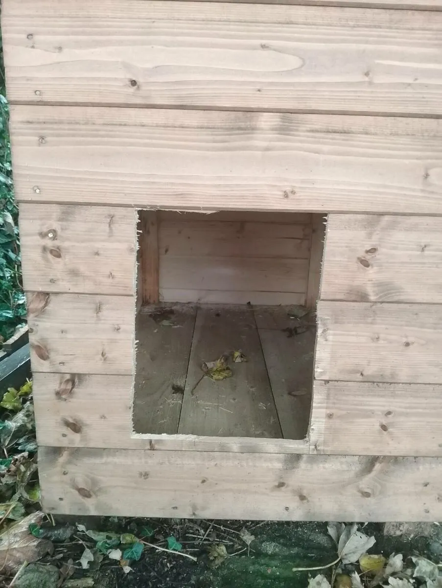 Dog kennel medium 2x3 - Image 3