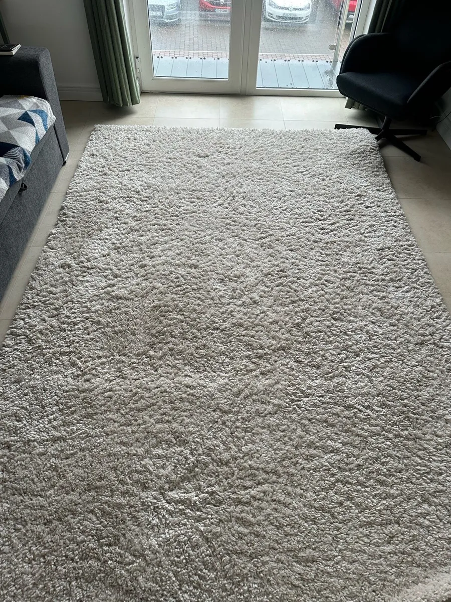 Rug - Image 1