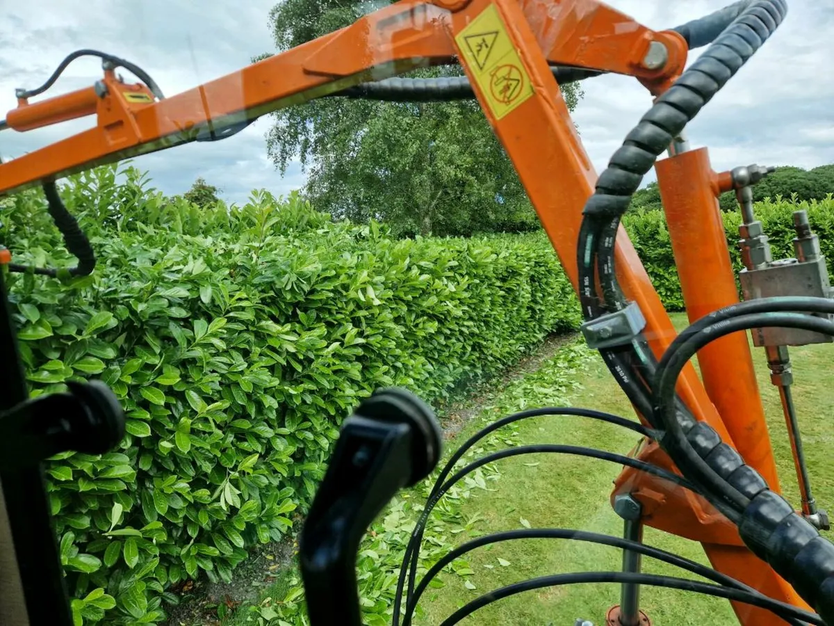 Rinieri brm 150 hedgetrimmer - Image 4