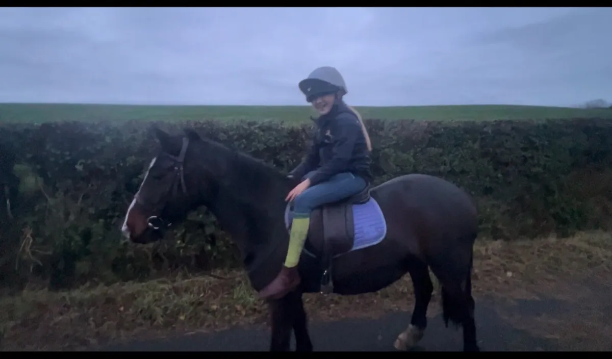 Pony - Image 2