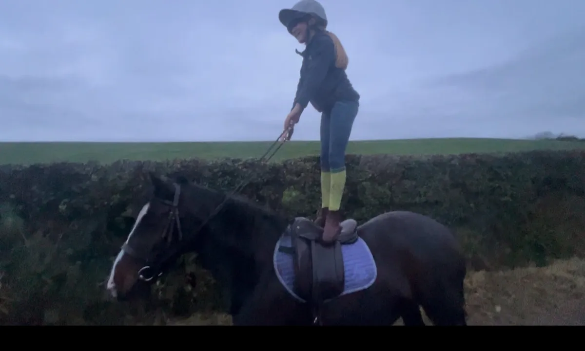 Pony - Image 3