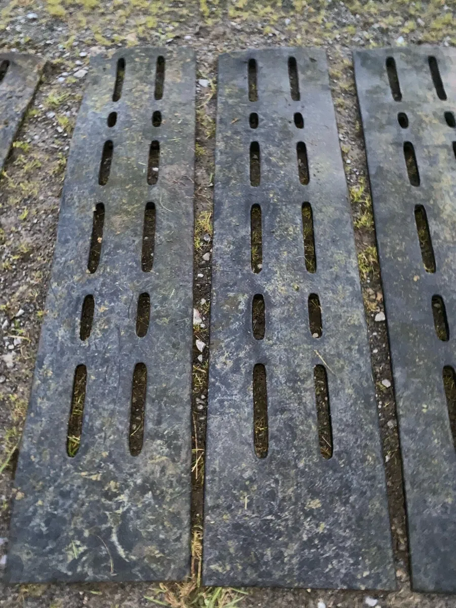 Cattle slats - Image 3