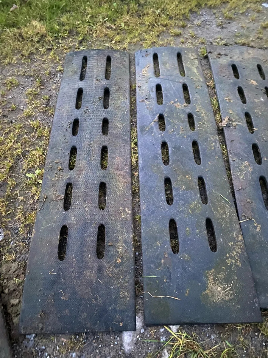 Cattle slats - Image 4