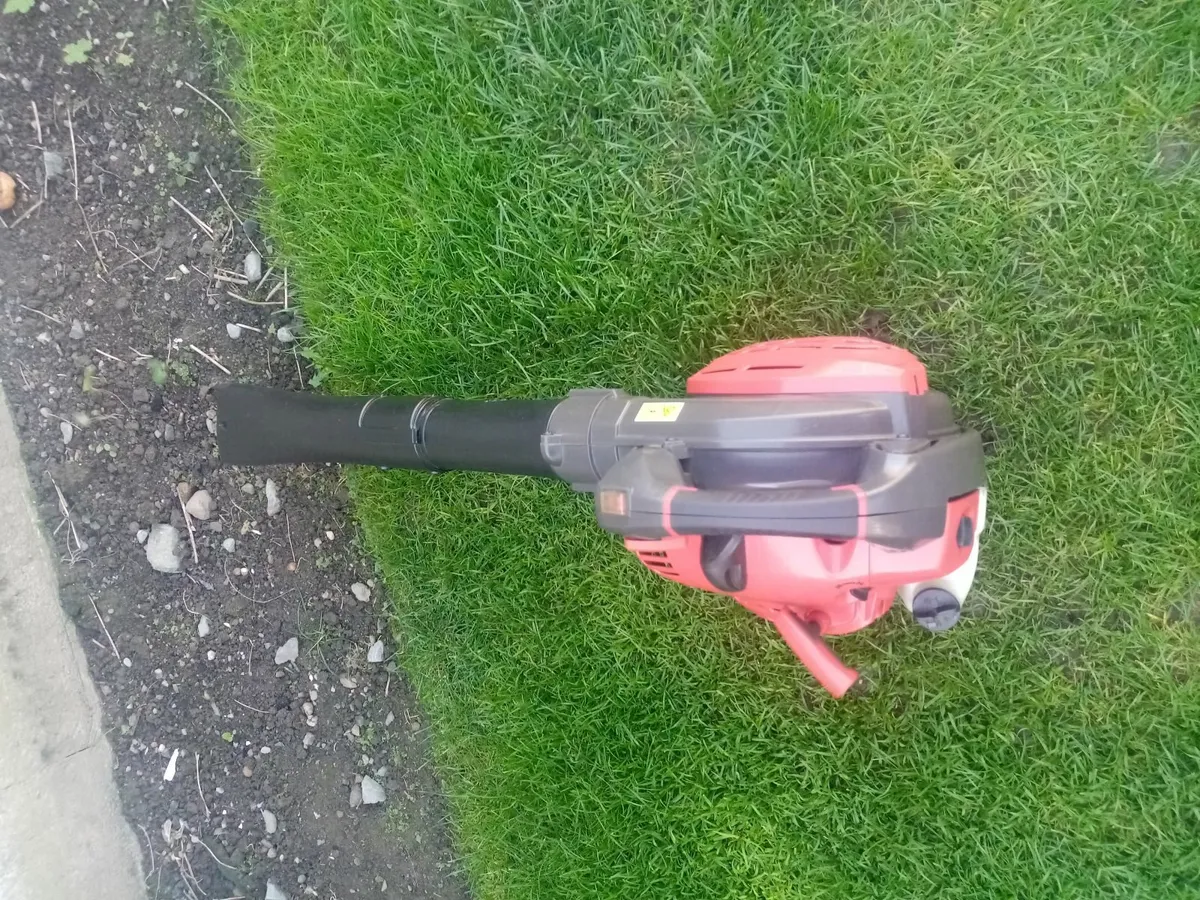 Hand Leaf Blower - Image 4