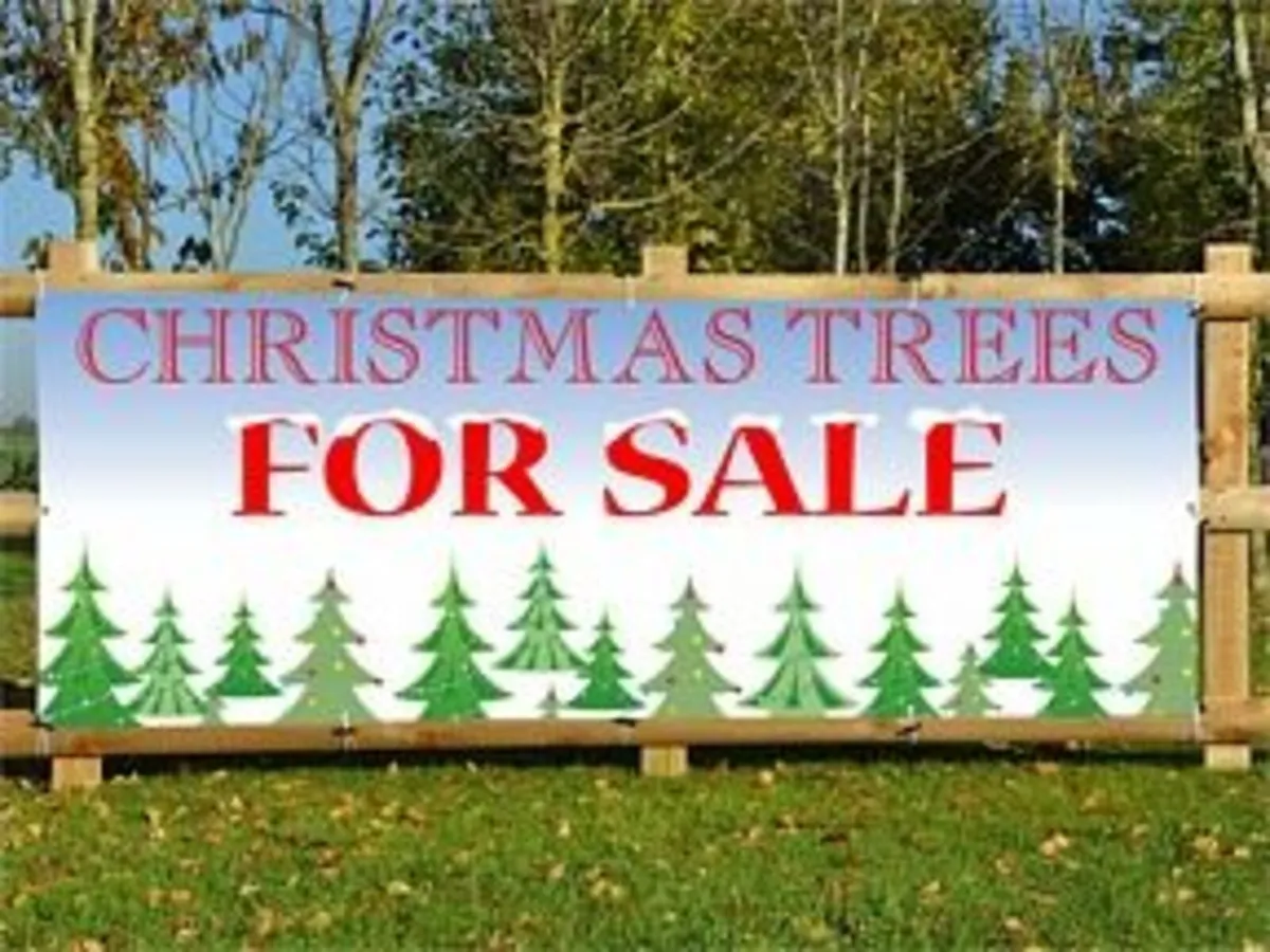 Christmas Trees - Image 1