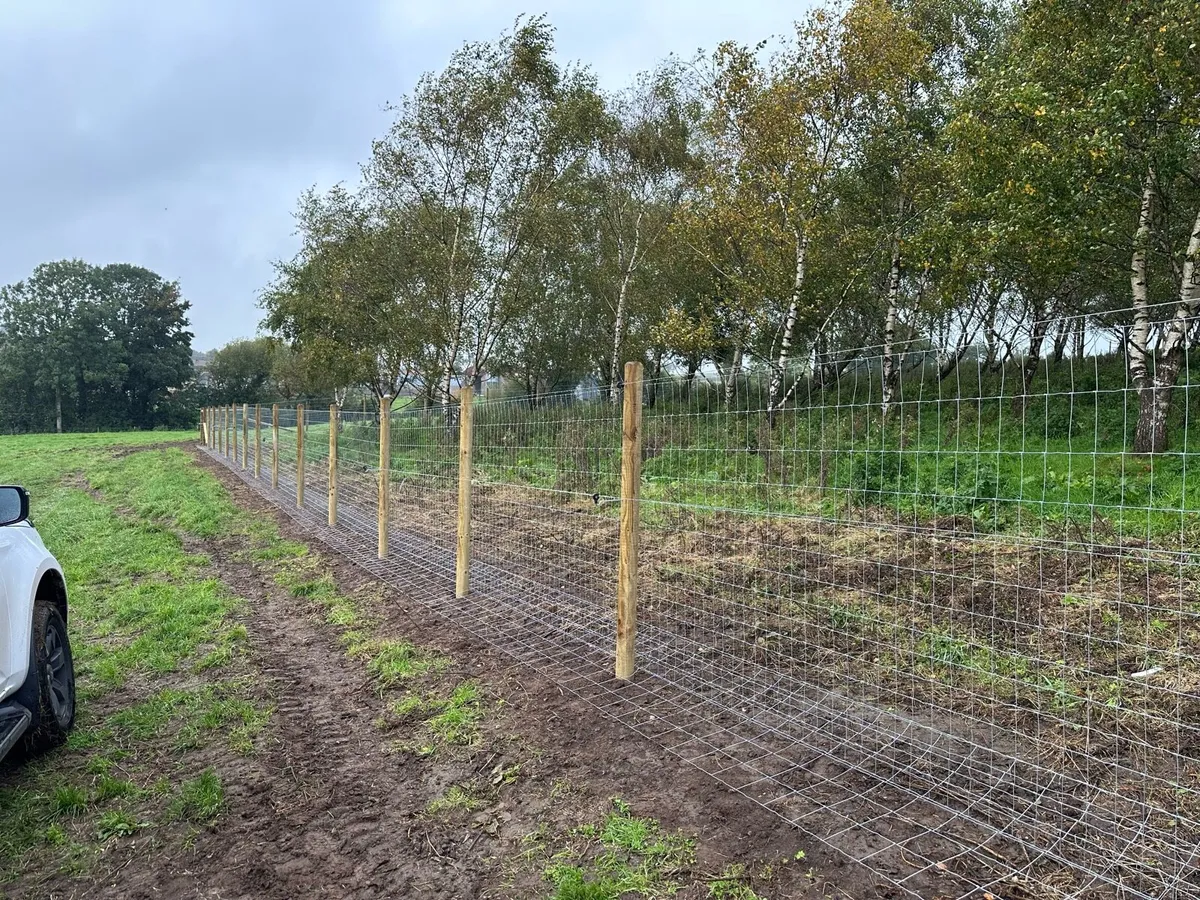 Poultry Fencing Specialist - Image 2