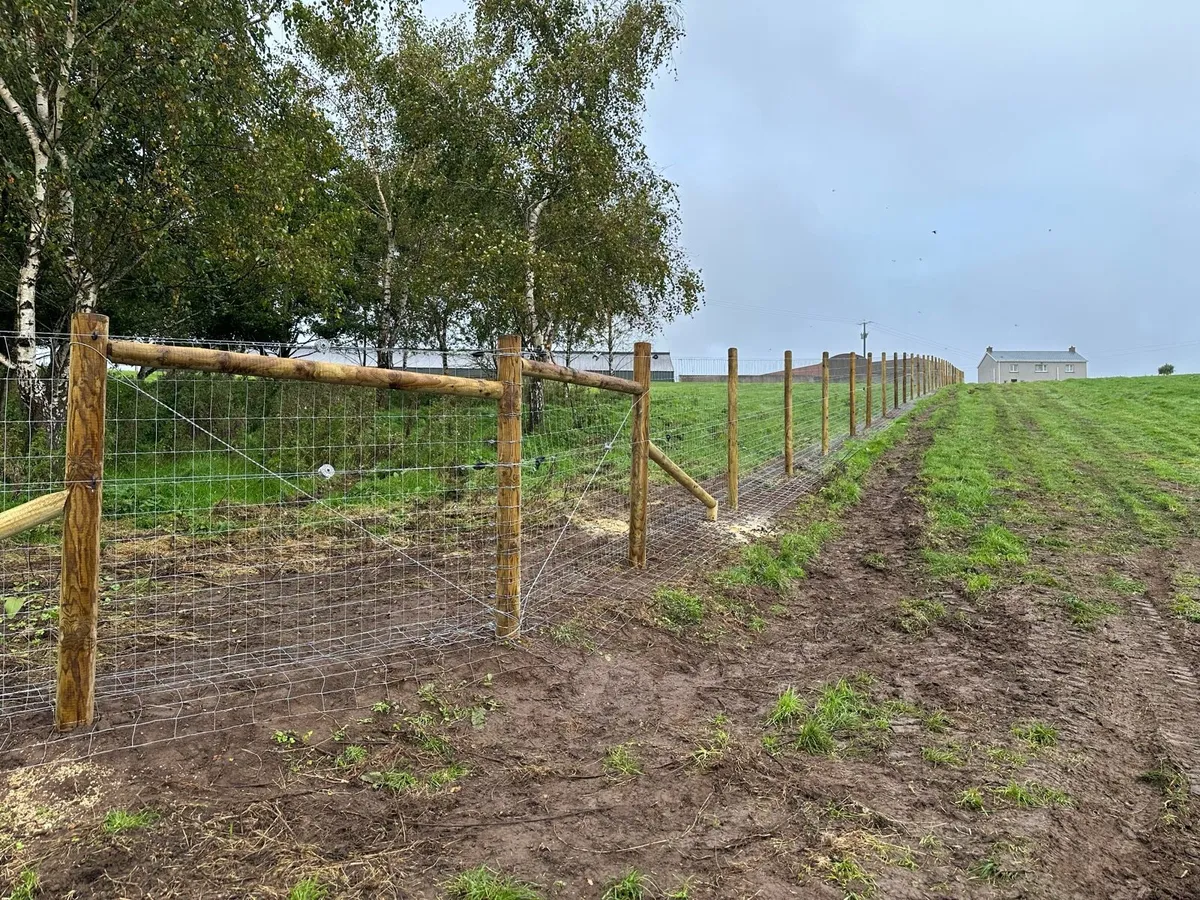 Poultry Fencing Specialist - Image 3