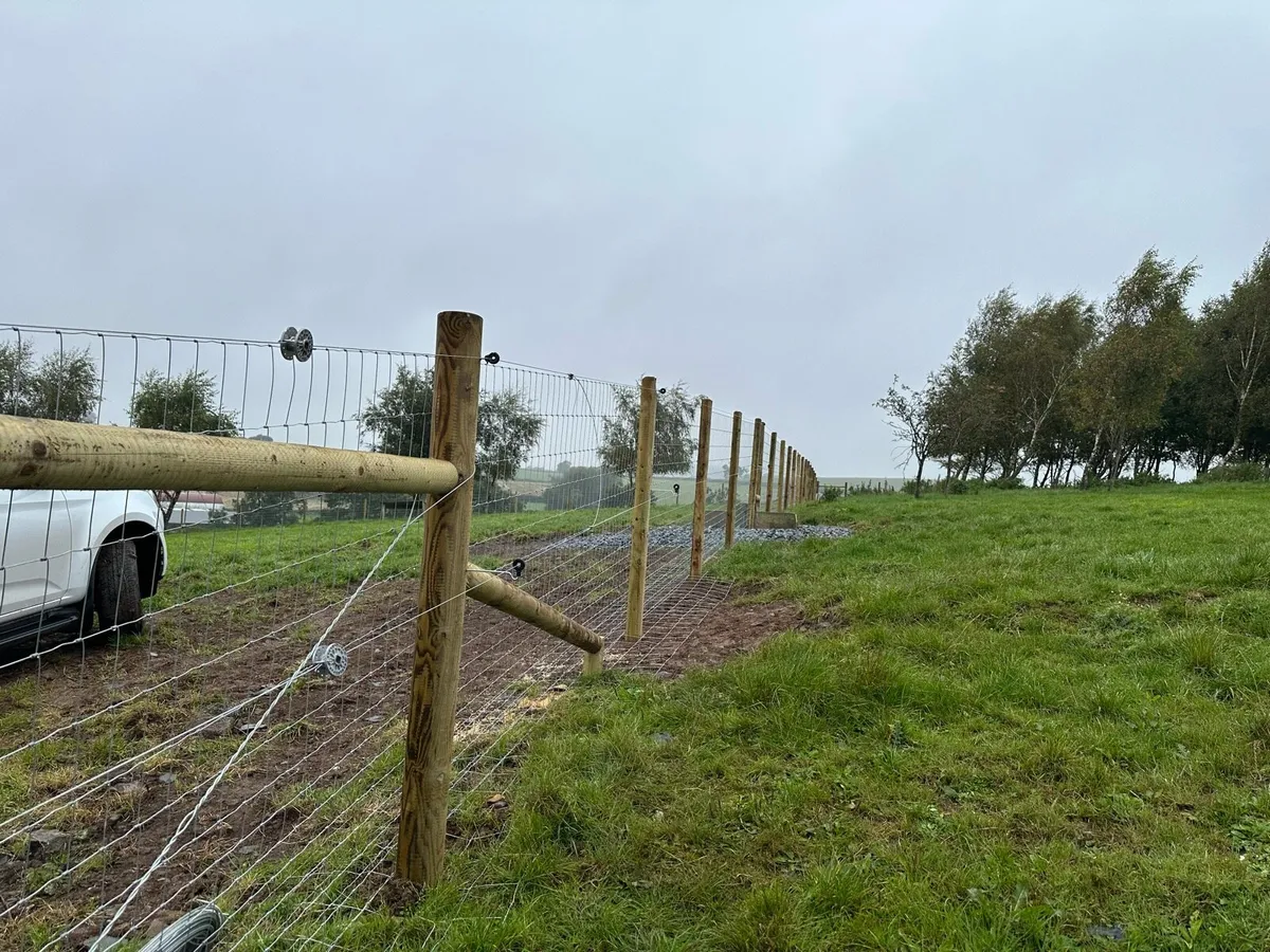 Poultry Fencing Specialist - Image 4