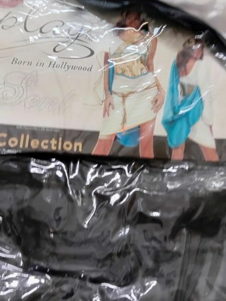 Egytian Costume - Image 4