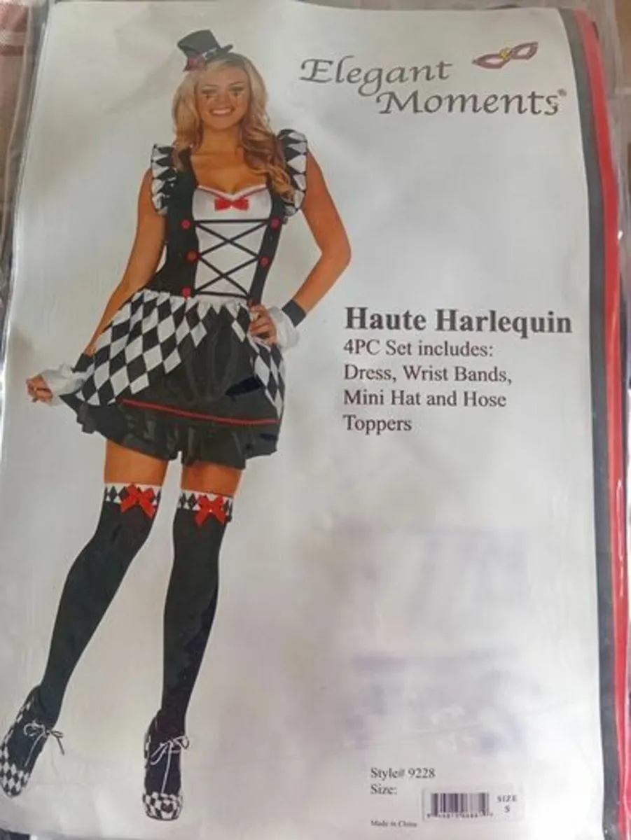 Ladies Costume - Image 2