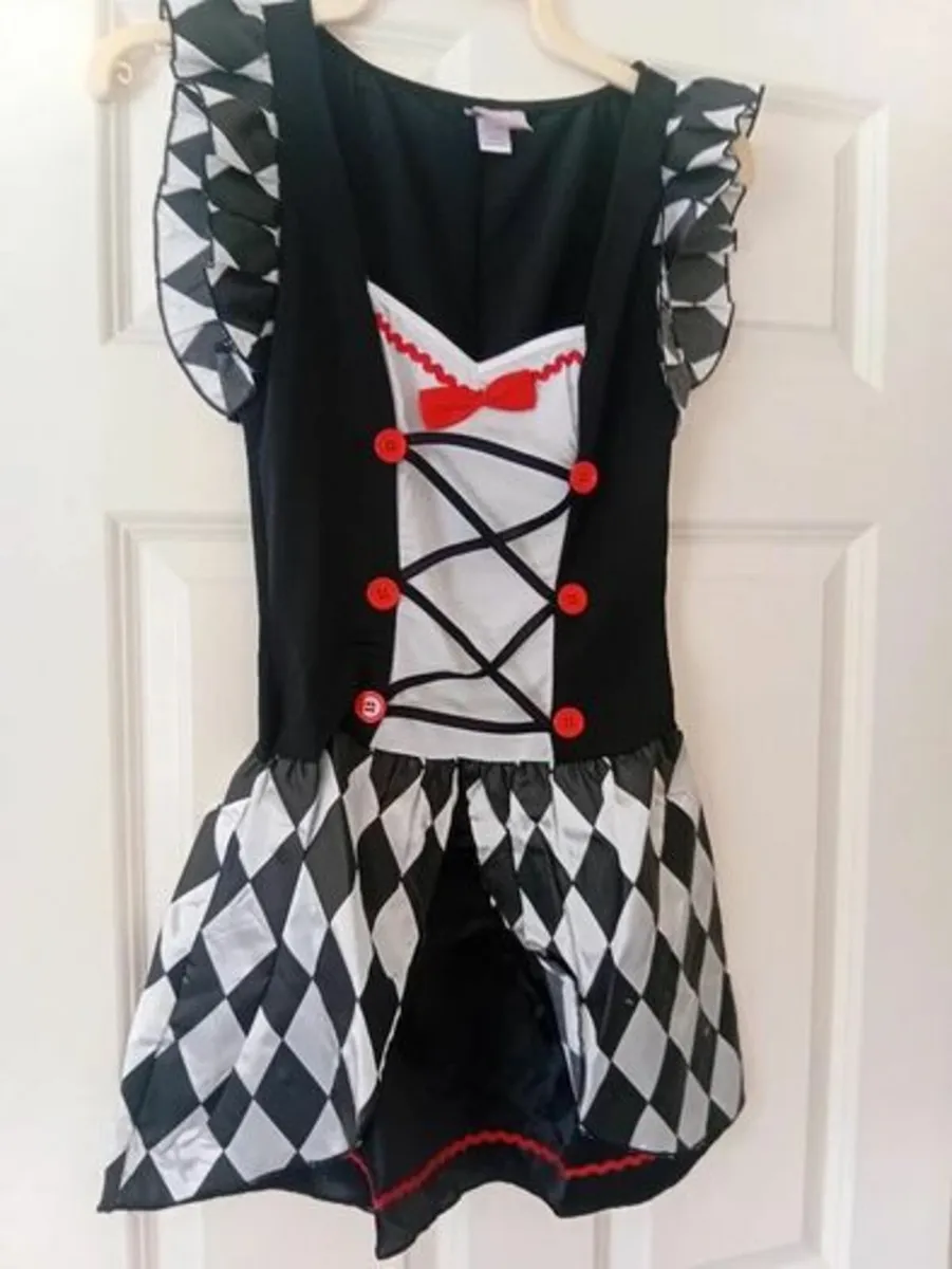 Ladies Costume - Image 3