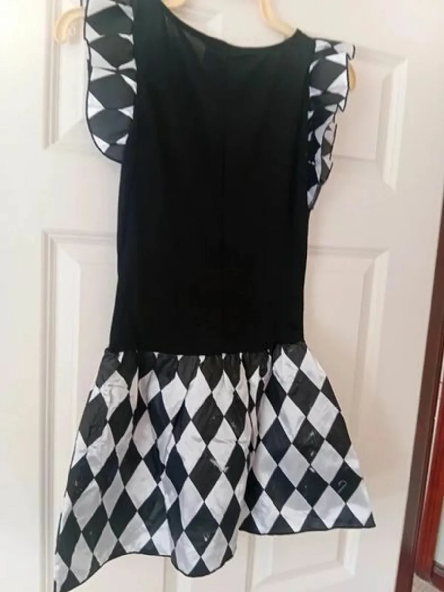 Ladies Costume - Image 4