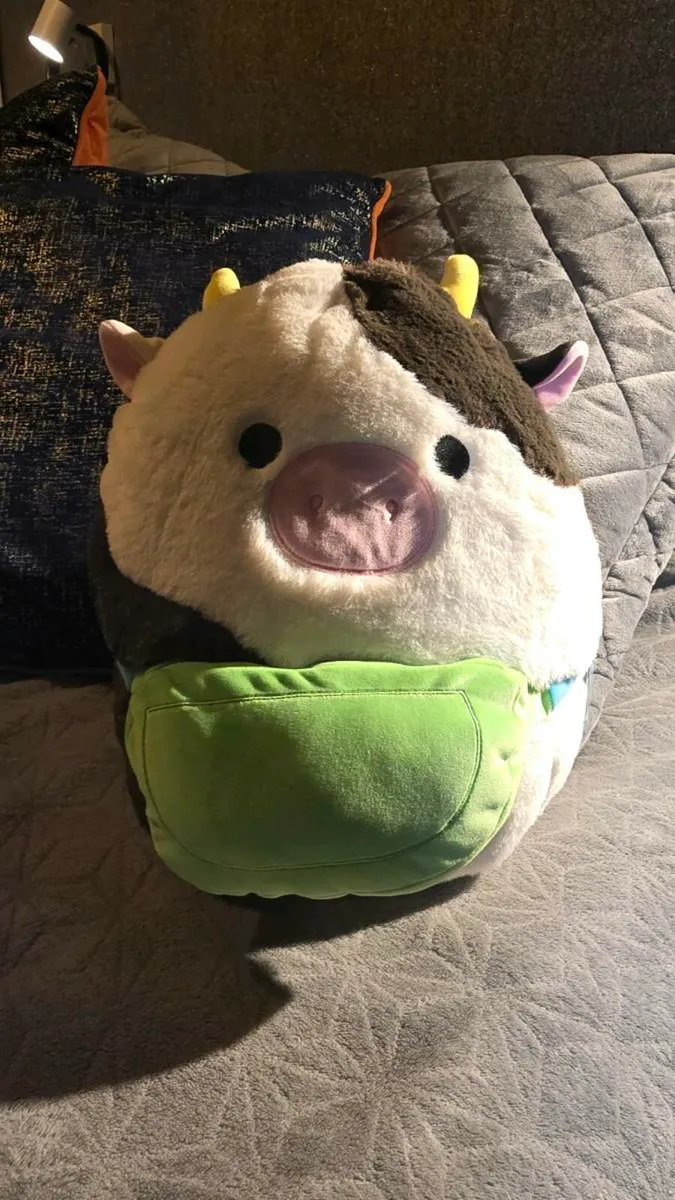 Squishmallows - Image 1