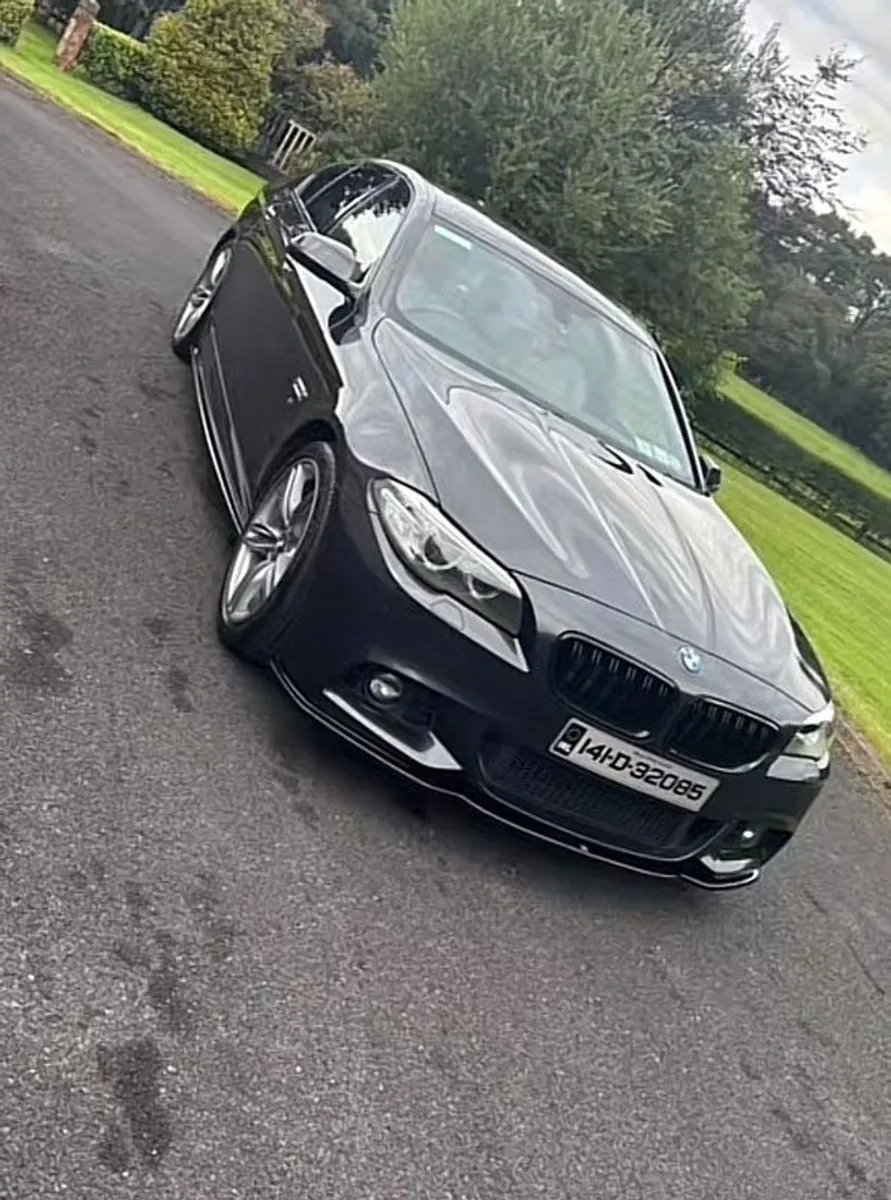 2014 Bmw 5-series - Image 2