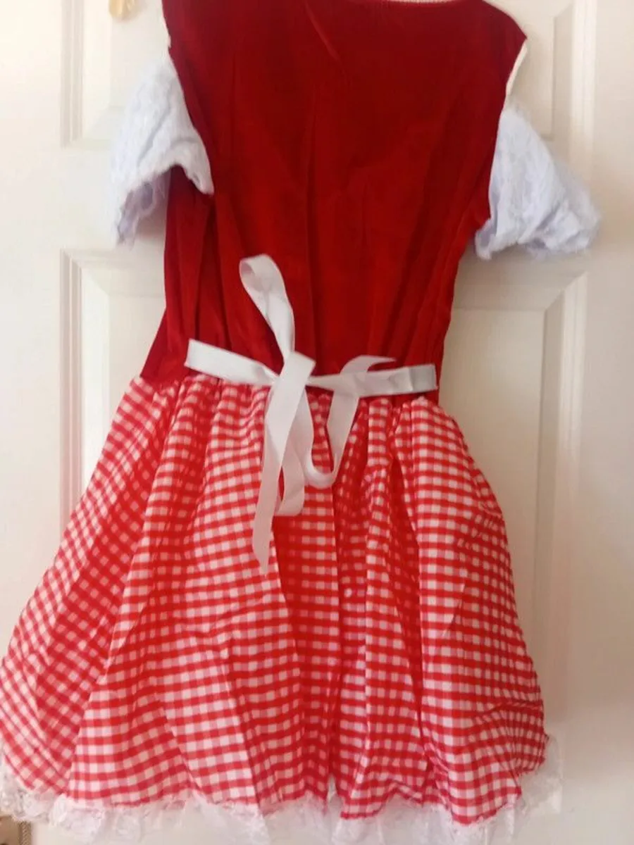 Costume 1 X-Large - Image 3