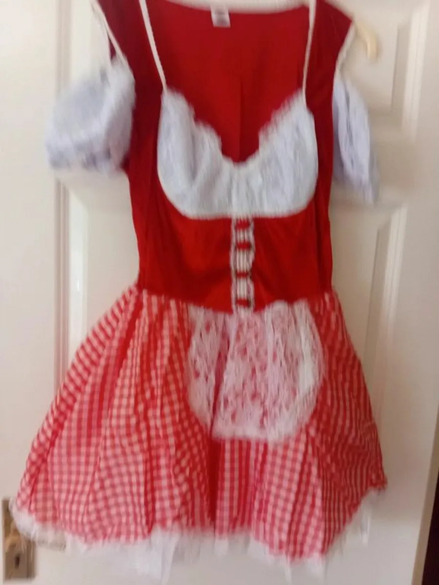 Costume 1 X-Large - Image 4