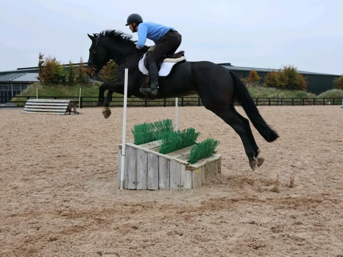 SUPER SMART GENUINE ALLROUNDER - Image 2