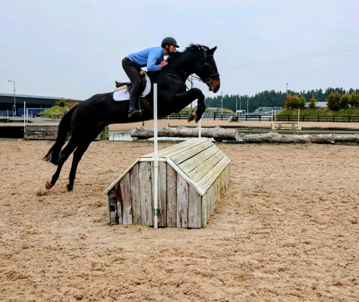 SUPER SMART GENUINE ALLROUNDER - Image 3