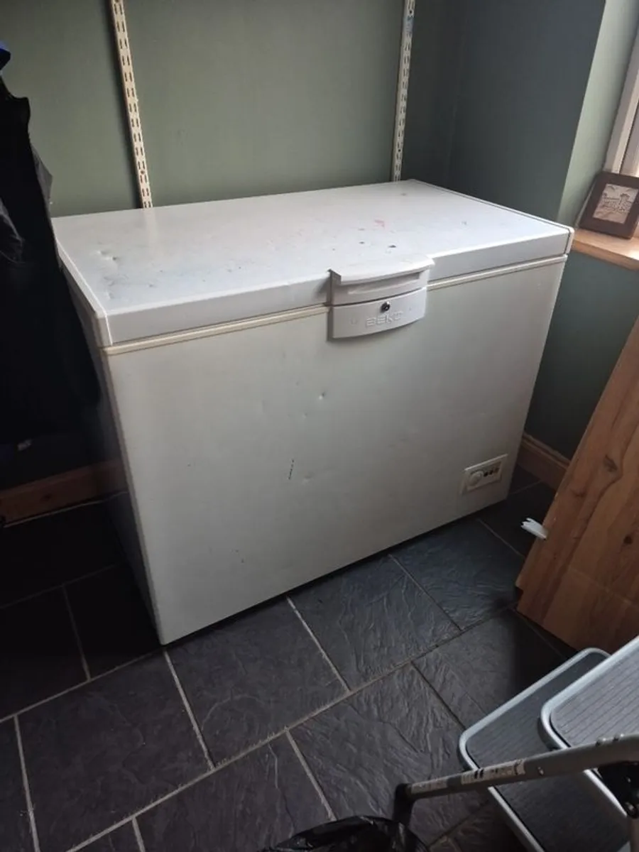 chest freezer - Image 1
