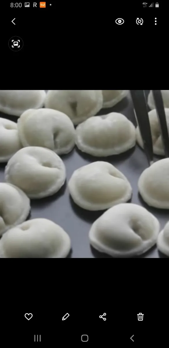 Dumpling machine - Image 4