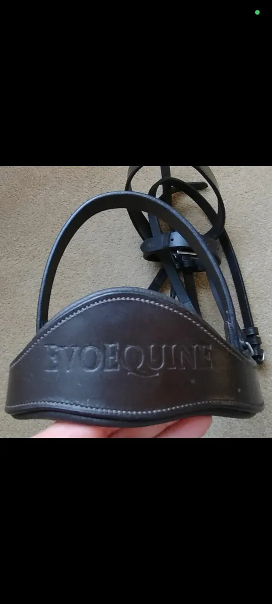 Hunter Bridle - the best of english leather - Image 2