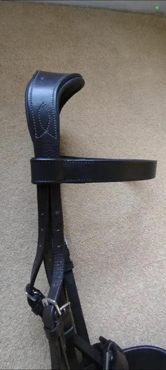Hunter Bridle - the best of english leather - Image 4