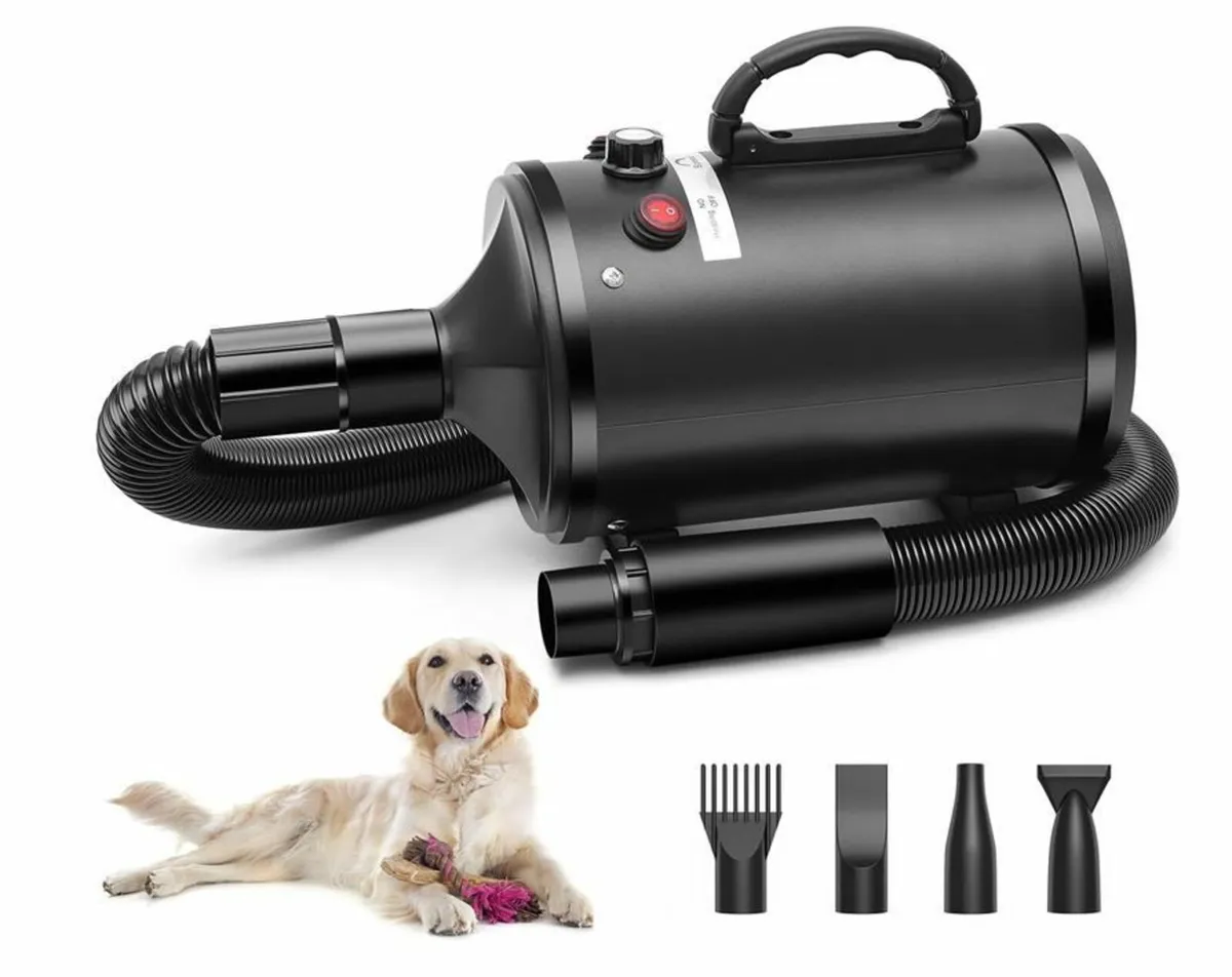 2800 W Adjustable Hair Dryer - Image 1
