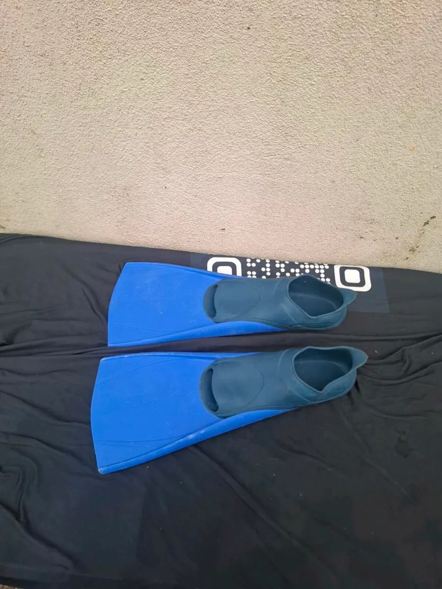 Flippers 4 4.5 - Image 1
