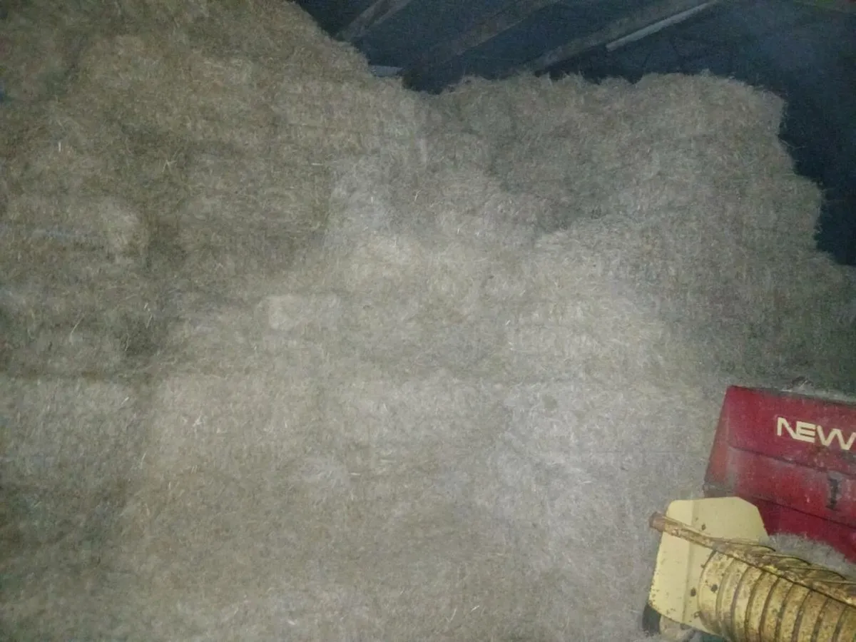 Square bales of hay - Image 1