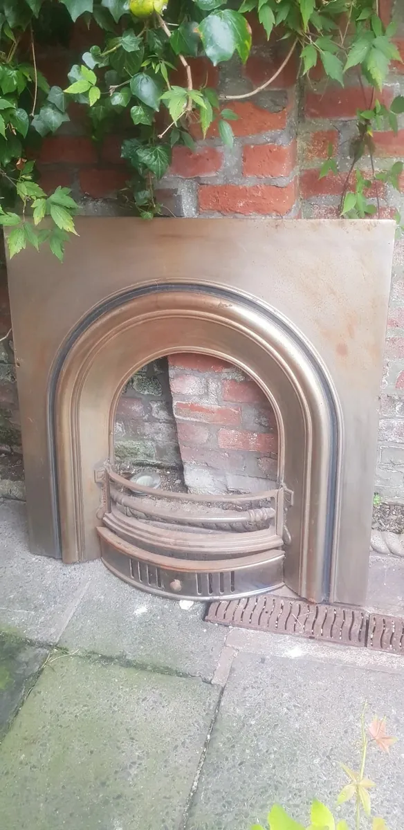 Fireplace insert - Image 1